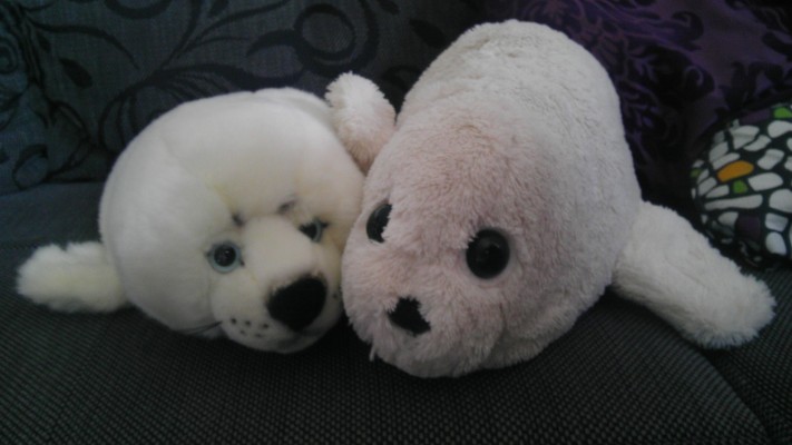 Robert und Cindy sind vereint!